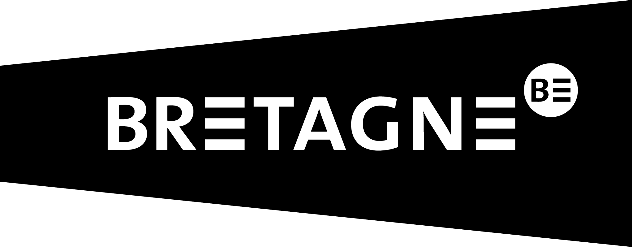 Logotype bloc noir fond transparent