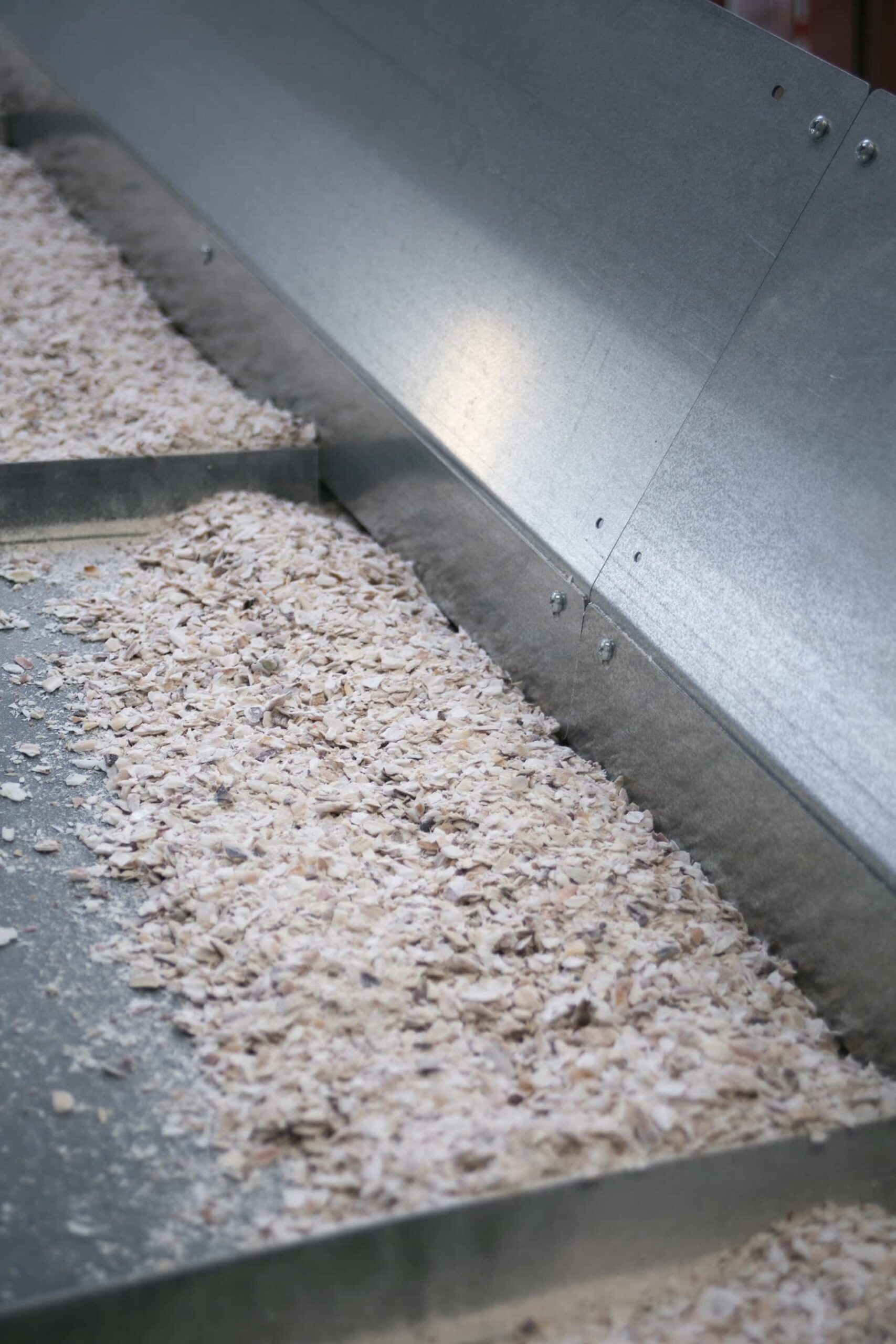 manufacture-glaz-tapis-coquillagge
